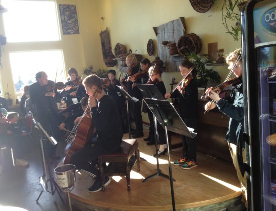 Homer Youth String Orchestra Club