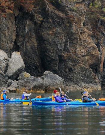 Kachemak Bay Adventures – Alan’s Water Taxi & St Augustine Kayak and Tours