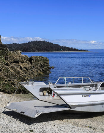 Kachemak Bay Adventures – Alan’s Water Taxi & St Augustine Kayak and Tours